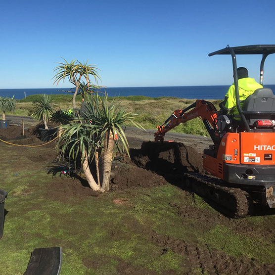 mini excavator transplanting plants Wonthaggi